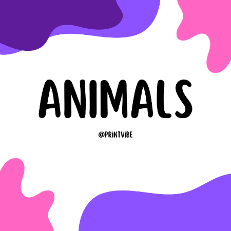 Picture for category Animals