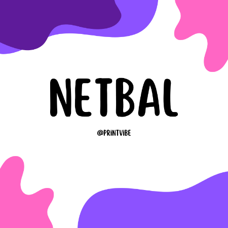 Picture for category Netbal
